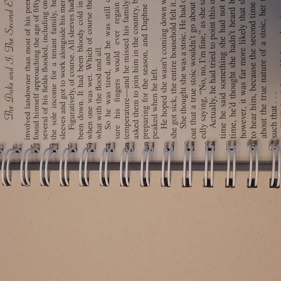 Secret Journal- Bridgerton The Duke and I - handmade journal - Picture 5 of 7